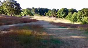 Image result for Peover Golf Club