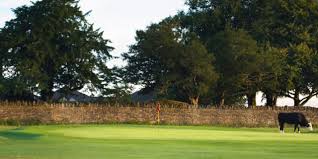 Image result for Minchinhampton Golf Club