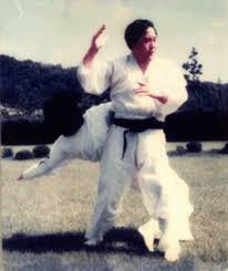 Image result for INTERNATIONAL HAPKIDO TAMWORTH