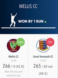 Image result for Mellis Cricket Club