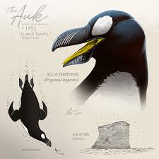 Image result for Pinguinus impennis