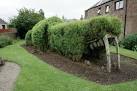NO3854 : Willow crocodile in the J. M. Barrie garden, Kirriemuir - via Daymix