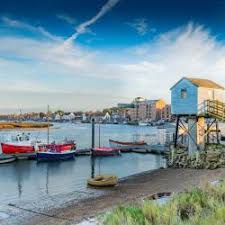 Image result for Ellan Vannin Gc