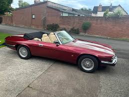 Image result for Flamenco 1993 Jaguar