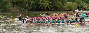 Image result for Wam Dragon Boat Racing Team