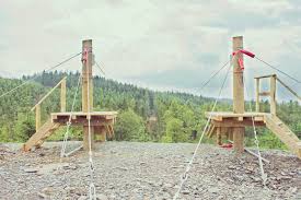 Image result for Go Ape! Grizedale