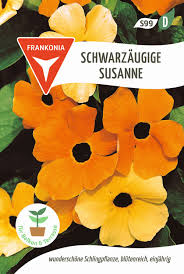 Image result for schwarzäugige Susanne