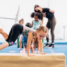 Image result for L&G Acrobatic Gymnastics Club