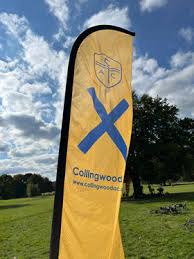 Image result for Tadworth Athletic Club