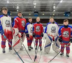 Image result for Haringey Junior Ice Hockey Club