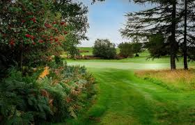 Image result for Whiting Bay Golf Club