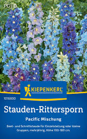 Image result for Rittersporn