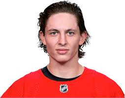 Image result for stehr tehron