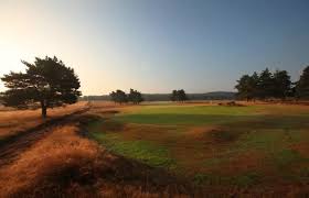 Image result for Hankley Common Golf Club
