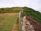 a tale that Bran lay along the coast off Brandon Point to protect all - via Daymix
