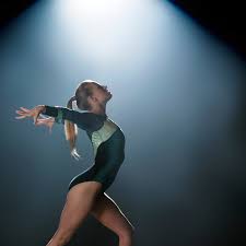 Image result for Elements Acro