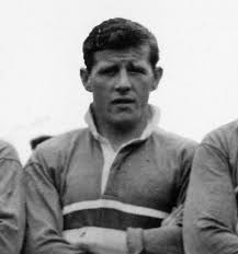 Image result for Keighley Albion ARLFC