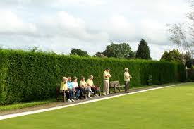 Image result for Grange Bowling Club