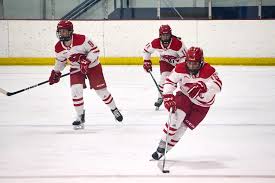 Image result for York University Street Hockey Club