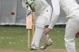 Image result for Botany Bay Cricket Club