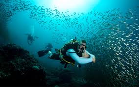 Image result for Scuba Fun