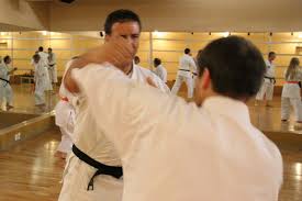 Image result for Nottingham Sankukai Karate
