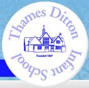 Image result for Thames Ditton Schools Fc