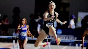 Image result for Abbey Runners