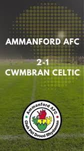 Image result for Cwmbran Celtic F C