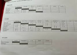 Image result for Shetland Table Tennis Association