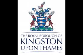 Image result for Tiffin Netball Club