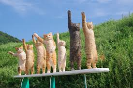 「桜さんご」の画像検索結果