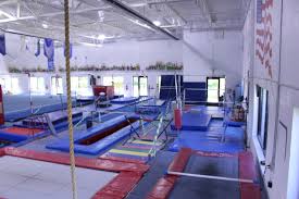 Image result for Brighton & Hove Gymnastics Club