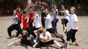 Image result for Shaolin Ancestors kung Fu School