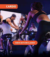 Image result for Kingfisher Gym Club