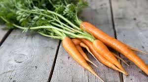 Image result for Möhren