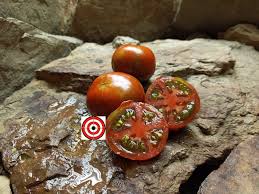 Afbeeldingsresultaat voor debarro black tomato