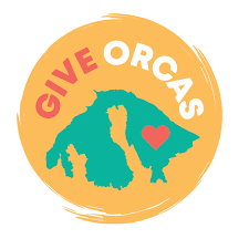 Image result for Ilfracombe Orcas Octopush Club