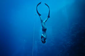 Image result for Blue Water Freediving School