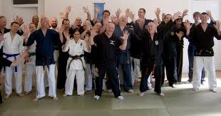 Image result for Bushin Kenpo Kai Schools
