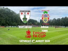Image result for Egham Town Fc