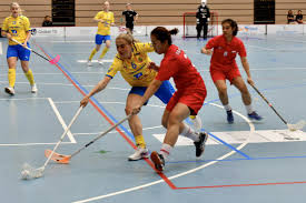 Image result for Basingstoke Demons Floorball Club