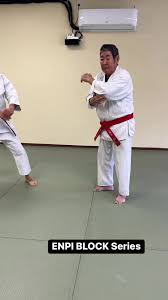 Image result for enpi dojo