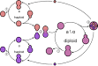  Yeast - Wikipedia, the free encyclopedia