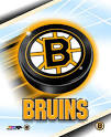 myLot Photos - logo of boston BRUINS