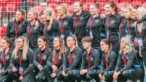 Image result for Didcot Ladies Casuals Football
