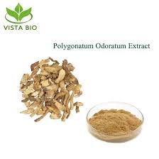 Attēlu rezultāti vaicājumam “Polygonatum odoratum fruit”