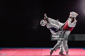 Image result for COMBAT TAEKWONDO