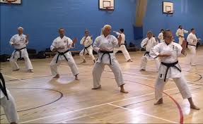 Image result for Kenshukai Karate
