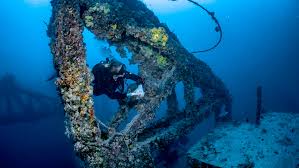 Image result for Deep and Wide Diving